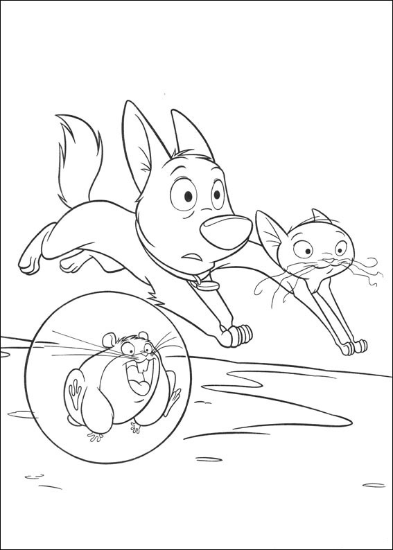 Kolorowanka z Psami i Kotami - Przygodowa Kolorowanka do Druku kolorowanka do druku